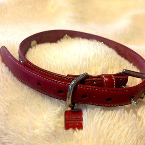 Coach Dog Collar